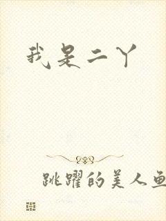 我是二丫