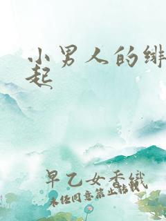 小男人的绯色崛起