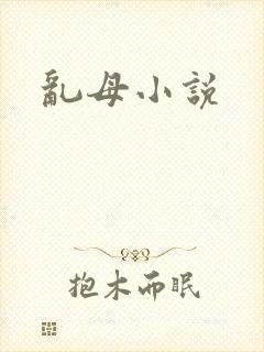 乱母小说