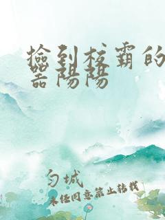 捡到校霸的遥控器阳阳