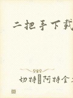 二把手下载
