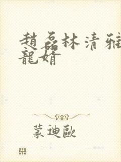 赵磊林清雅上门龙婿