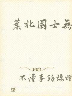 叶北国士无双