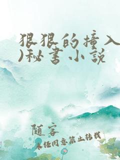 狠狠的撞入(h)秘书小说