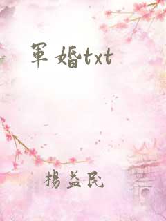 军婚txt