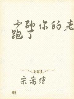 少帅你的老婆又跑了