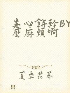 夹心饼干BY这么麻烦啊