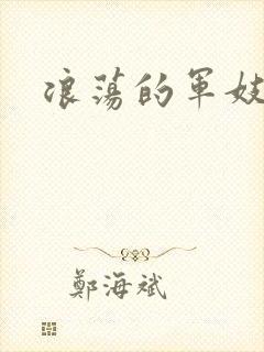 浪荡的军妓h