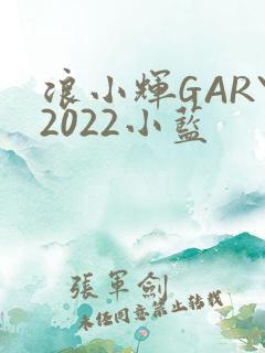 浪小辉GARY2022小蓝