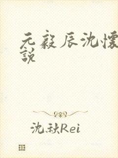 元毅辰沈怀妆小说