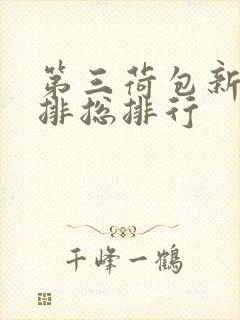 第三荷包新鲜肉排总排行