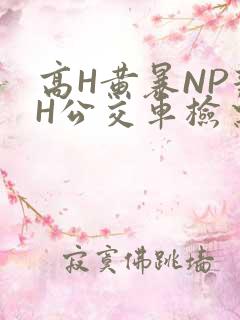 高H黄暴NP辣H公交车检票员