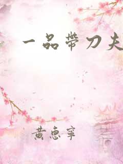 一品带刀夫人