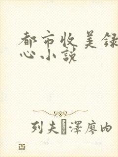 都市收美录宁素心小说