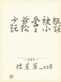 少爷受被粗汉H玩松了小说