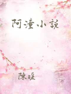 阿潼小说