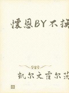 怀恩BY不换