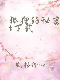 狐狸的秘密txt下载