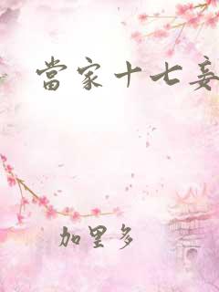 当家十七妾