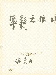 猎影之狼 暗夜下载