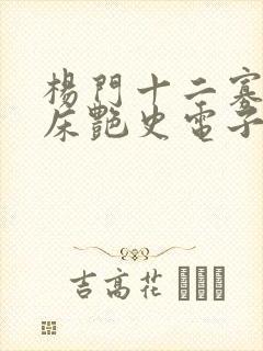 杨门十二寡妇肉床艳史电子书