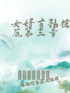 女婿有劲枪枪到底第三章