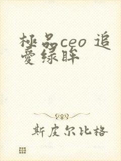 极品ceo 追爱绿眸