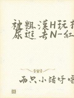 被粗汉H玩松了尿进去N-红-Q