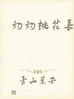 灼灼桃花长相思