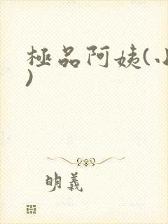 极品阿姨(小说)