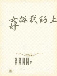 女总裁的上门女婿