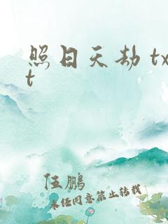 照日天劫 txt