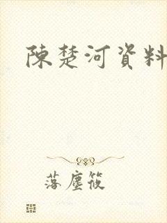 陈楚河资料
