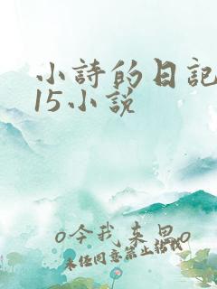小诗的日记1一15小说