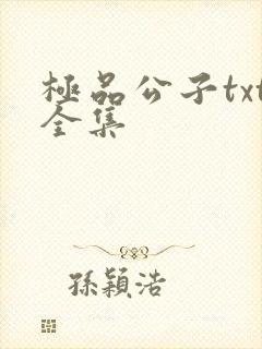 极品公子txt全集