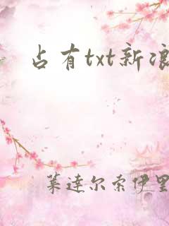 占有txt新浪