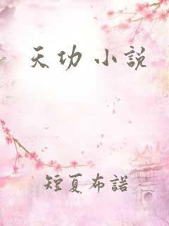 天功 小说