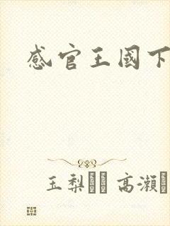 感官王国下载