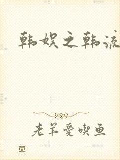 韩娱之韩流全球