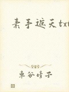 素手遮天txt