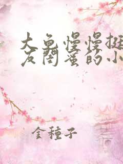 大龟慢慢挺进女友闺蜜的小说