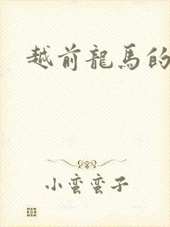 越前龙马的小说