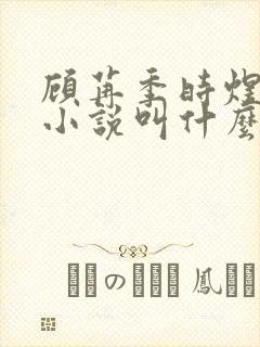 顾苒季时煜电竞小说叫什么名字