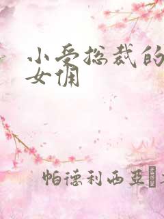 小受总裁的野蛮女佣