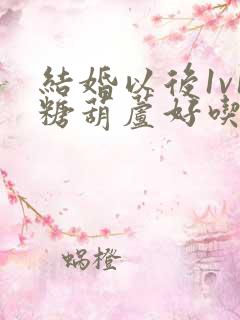 结婚以后1v1糖葫芦好吃epub