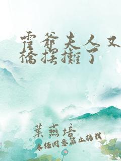 霍爷夫人又去天桥摆摊了