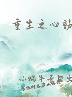 重生之心动起点