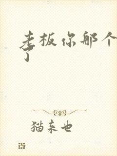 老板你那个太长了