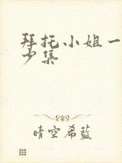 拜托小姐一共多少集