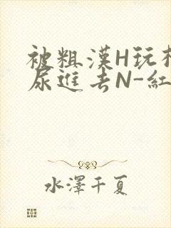 被粗汉H玩松了尿进去N-红-Q